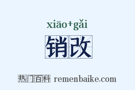 销改是什么意思的图片